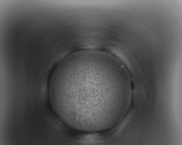 X0000089760306200706281648