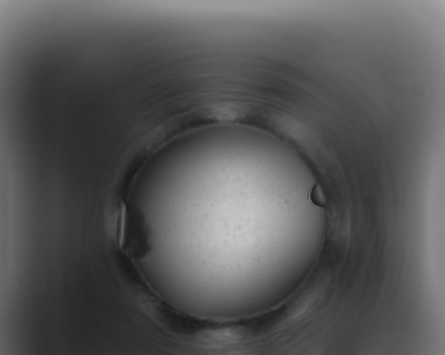 X0000089760307200706281648