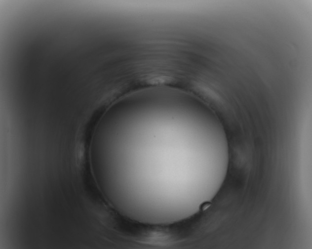 X0000089760308200706281648