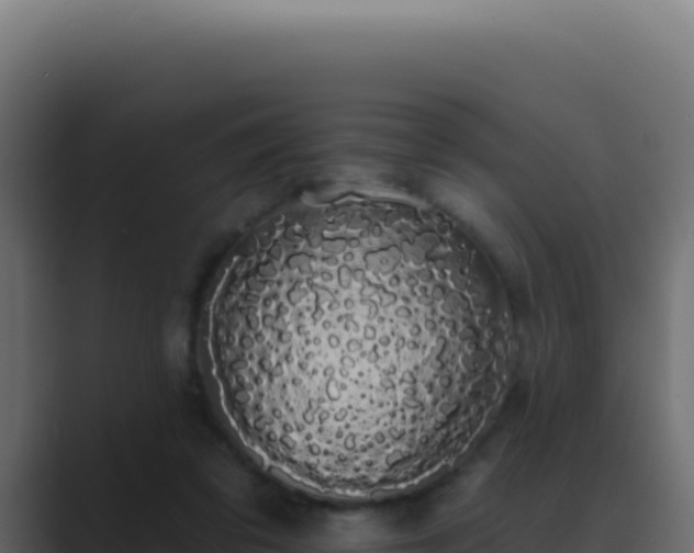 X0000089760309200706281648