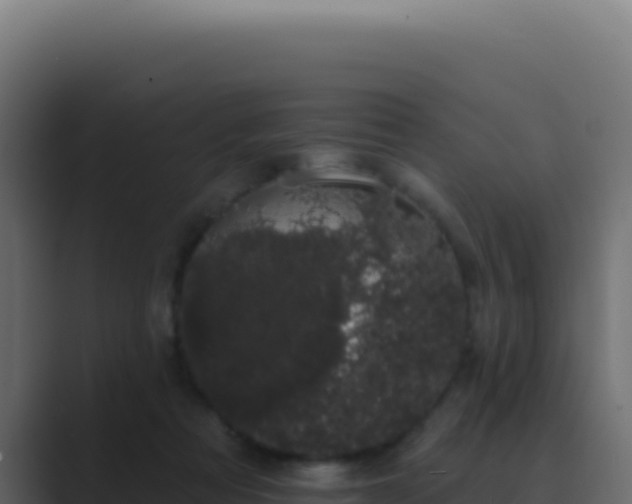 X0000089760313200706281648