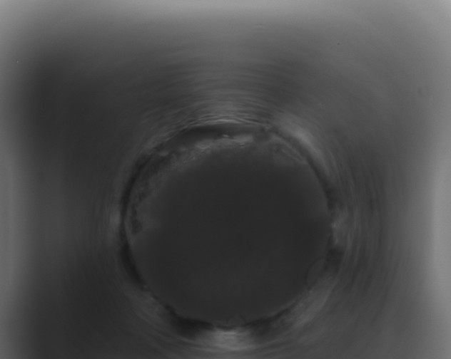 X0000089760314200706281648