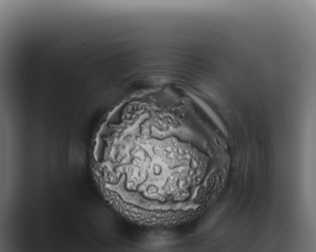 X0000089760315200706281648