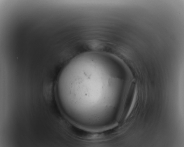 X0000089760319200706281648