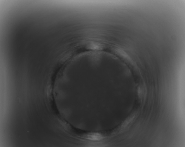 X0000089760322200706281648