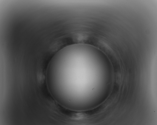 X0000089760324200706281648