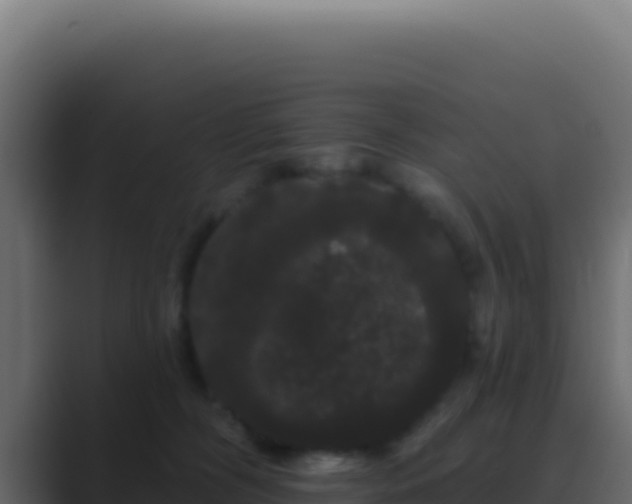 X0000089760326200706281648