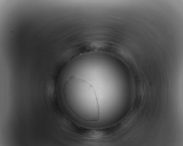 X0000089760328200706281648