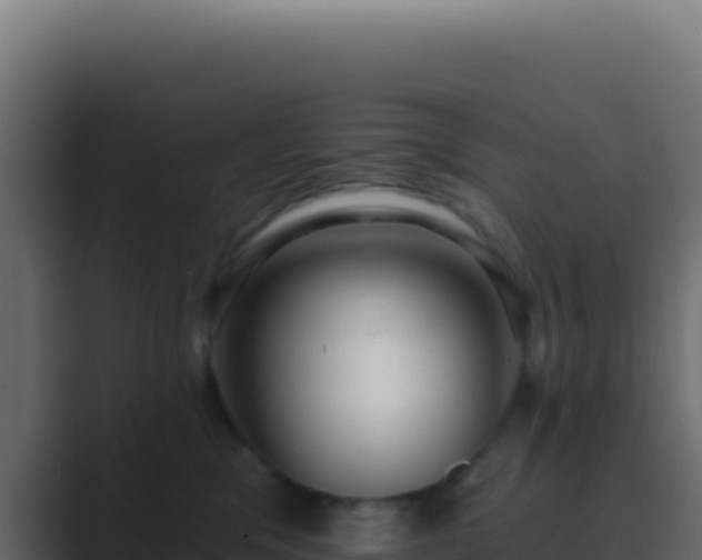 X0000089760329200706281648