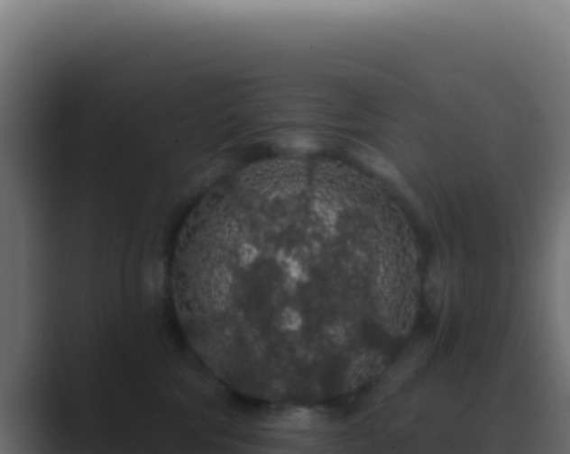 X0000089760330200706281648