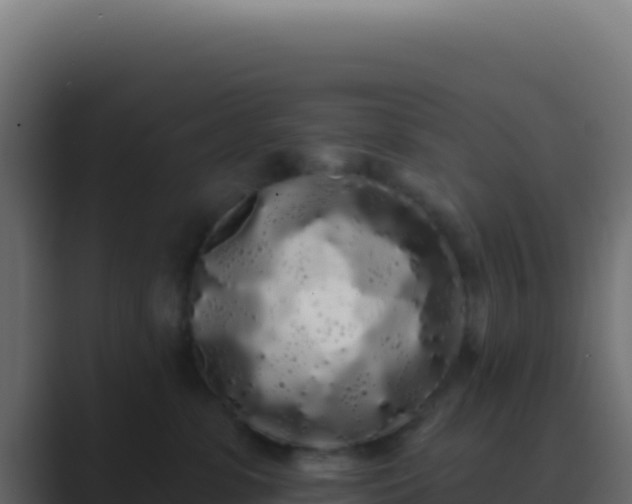 X0000089760331200706281648