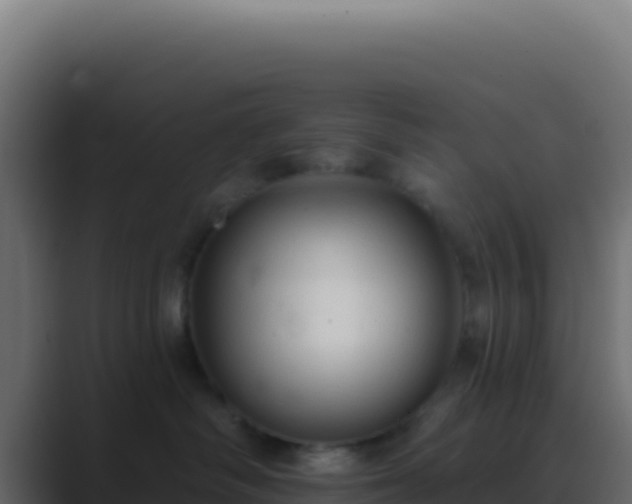 X0000089760334200706281648