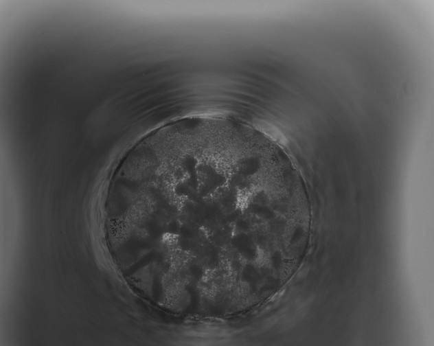 X0000089760337200706281648