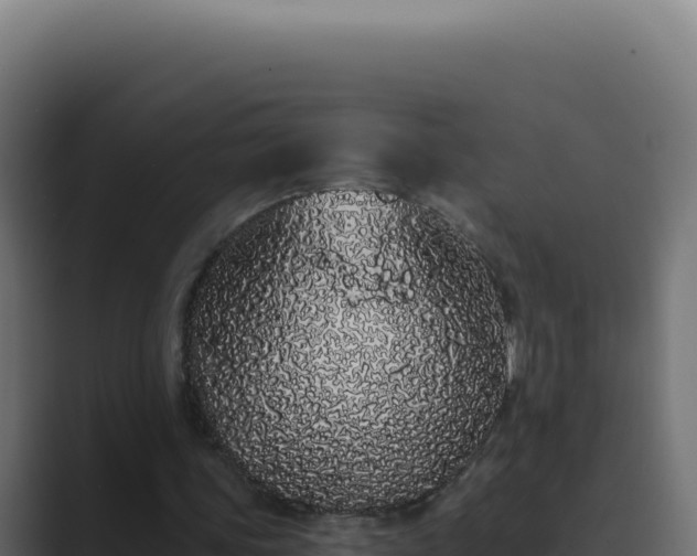 X0000089760339200706281648