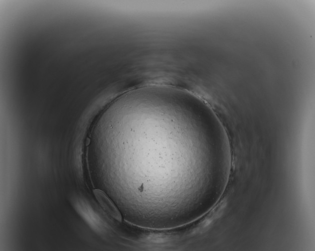 X0000089760341200706281648