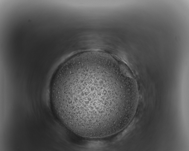 X0000089760342200706281648