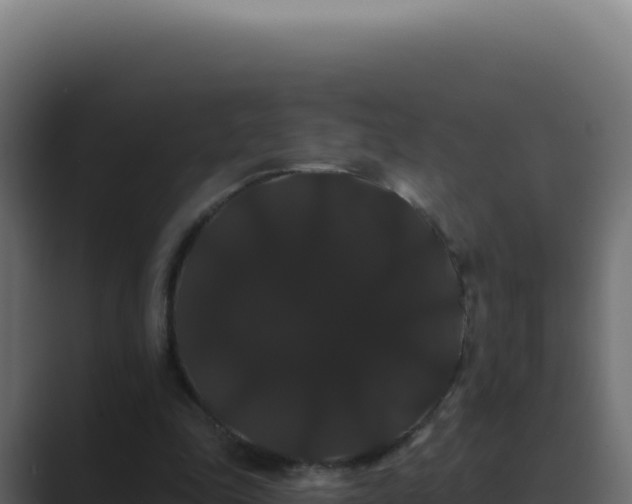 X0000089760343200706281648