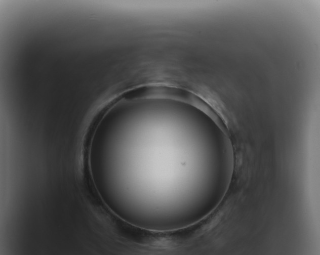 X0000089760344200706281648