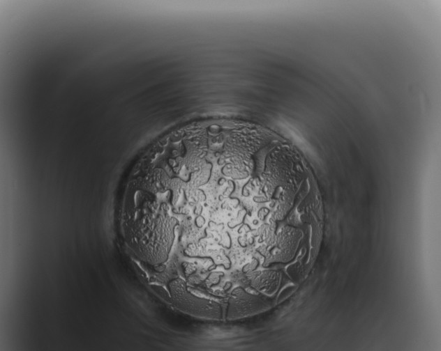 X0000089760346200706281648