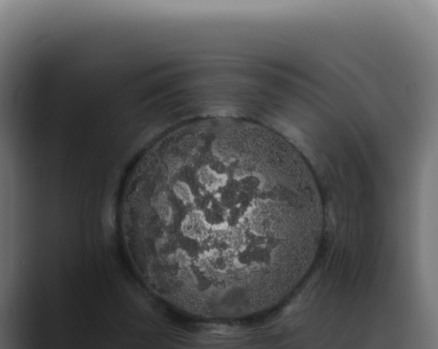 X0000089760347200706281648