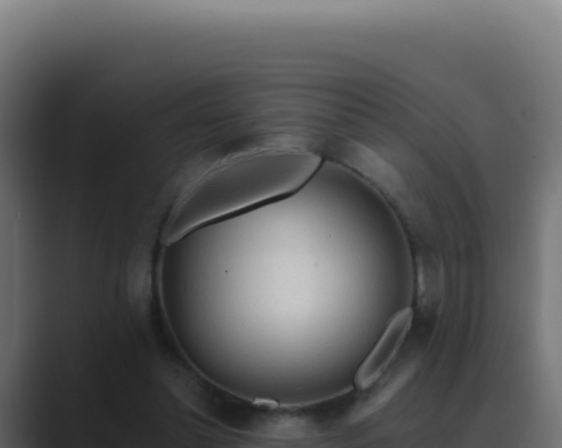 X0000089760348200706281648