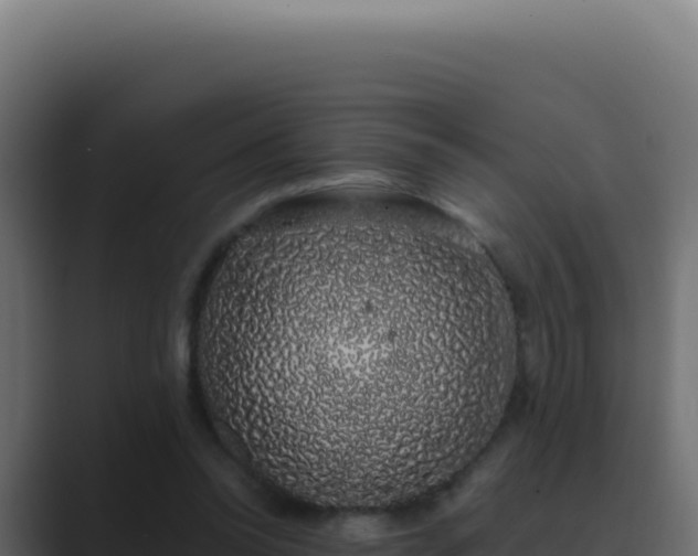 X0000089760350200706281648