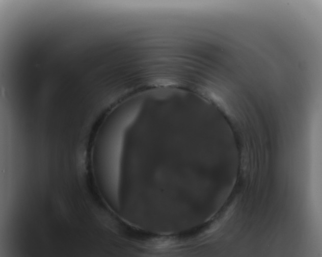 X0000089760351200706281648