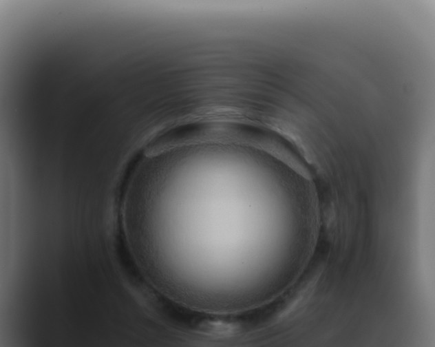 X0000089760352200706281648