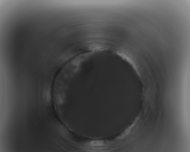 X0000089760353200706281648