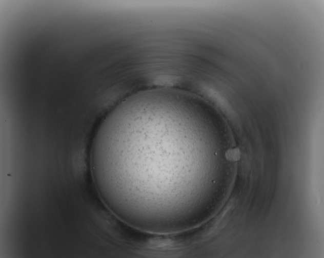 X0000089760354200706281648