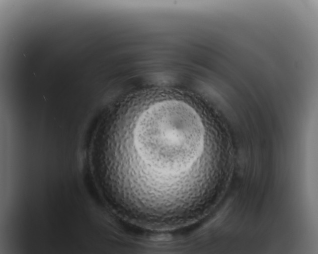 X0000089760355200706281648