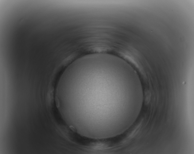 X0000089760356200706281648