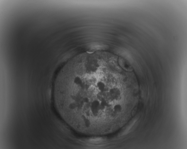 X0000089760357200706281648