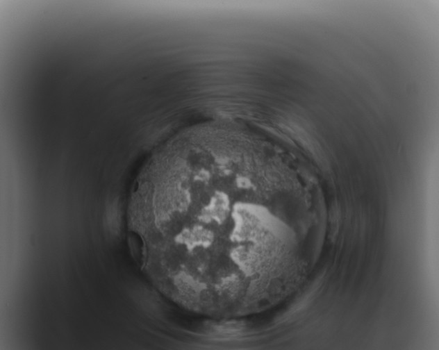 X0000089760359200706281648