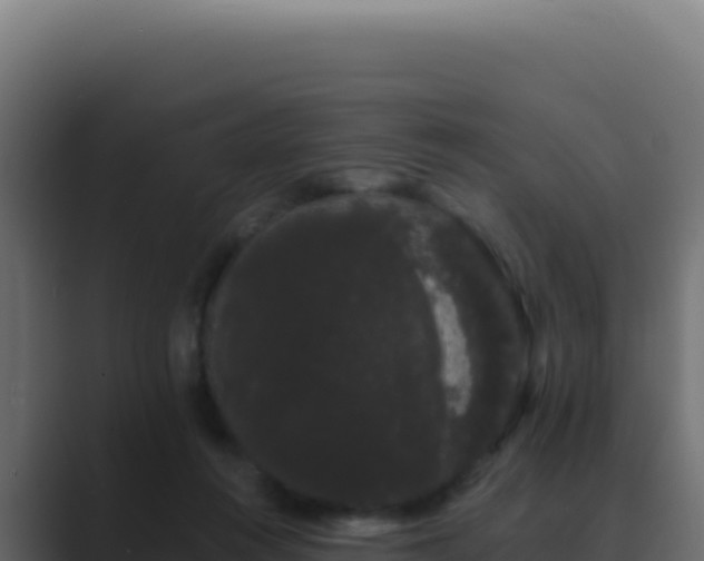 X0000089760360200706281648