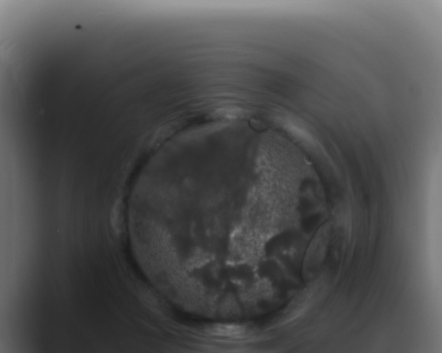 X0000089760361200706281648