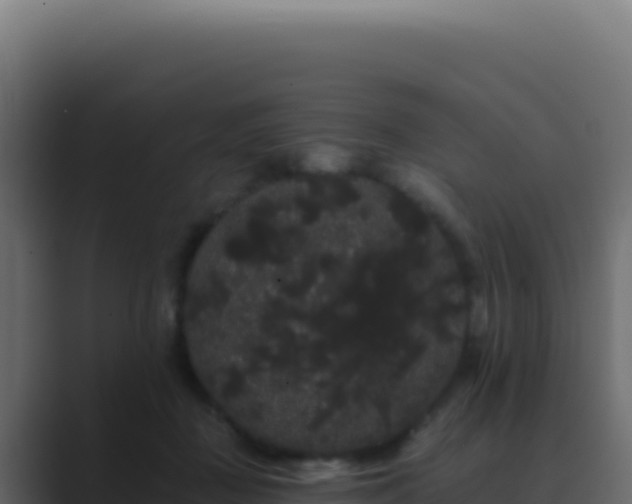 X0000089760363200706281648