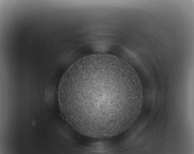 X0000089760364200706281648