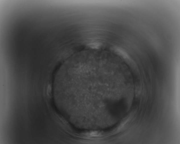 X0000089760365200706281648