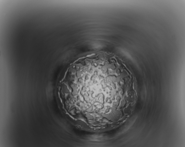 X0000089760366200706281648