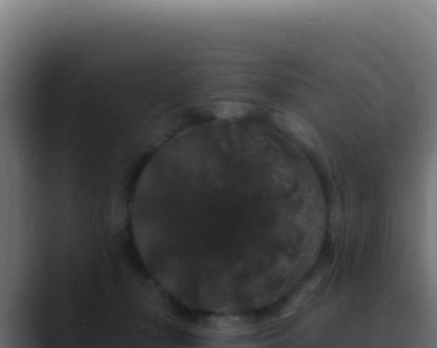 X0000089760367200706281648