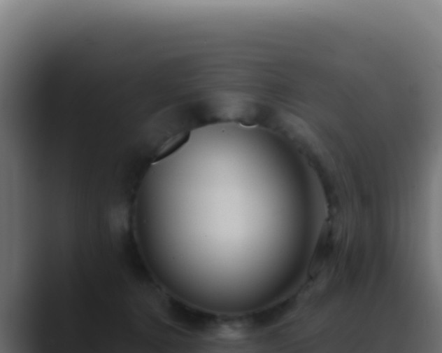 X0000089760368200706281648