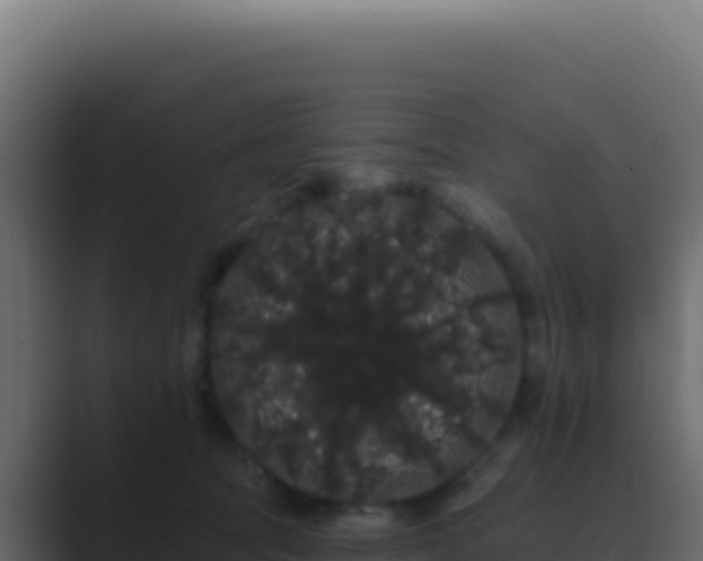 X0000089760369200706281648