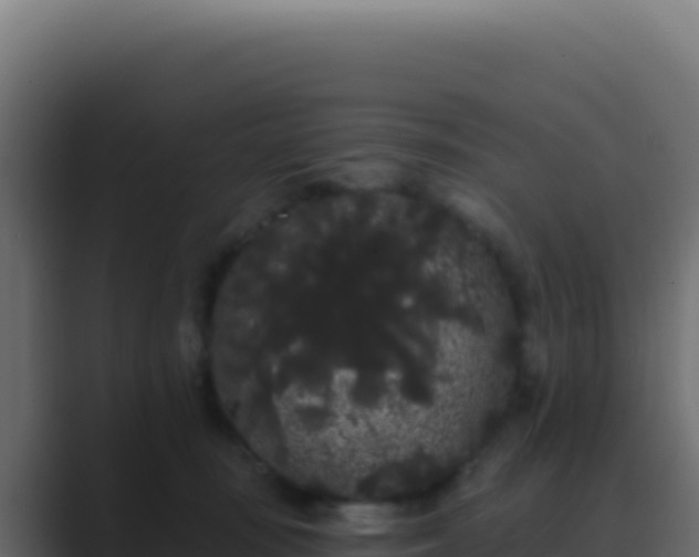 X0000089760371200706281648