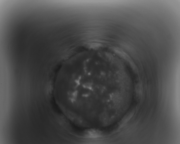 X0000089760372200706281648