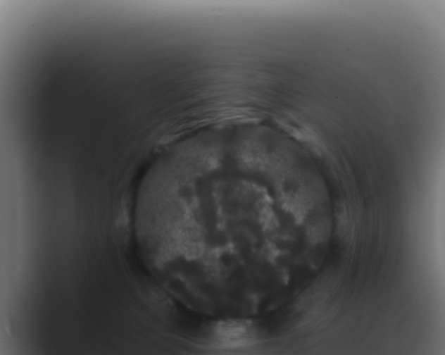 X0000089760373200706281648