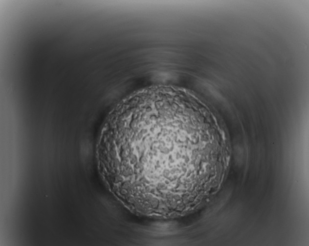 X0000089760375200706281648