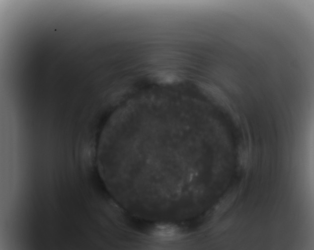 X0000089760376200706281648