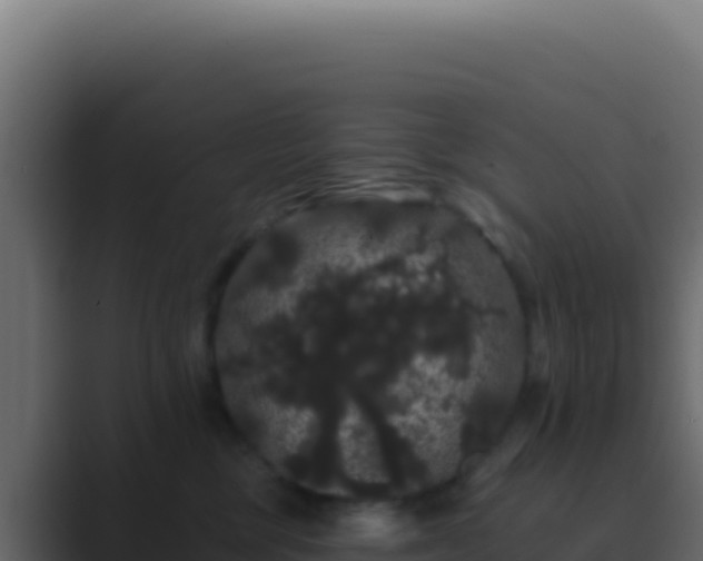 X0000089760377200706281648