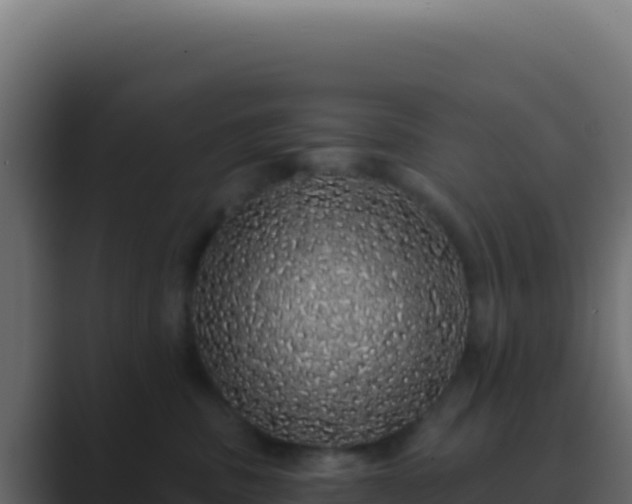 X0000089760379200706281648